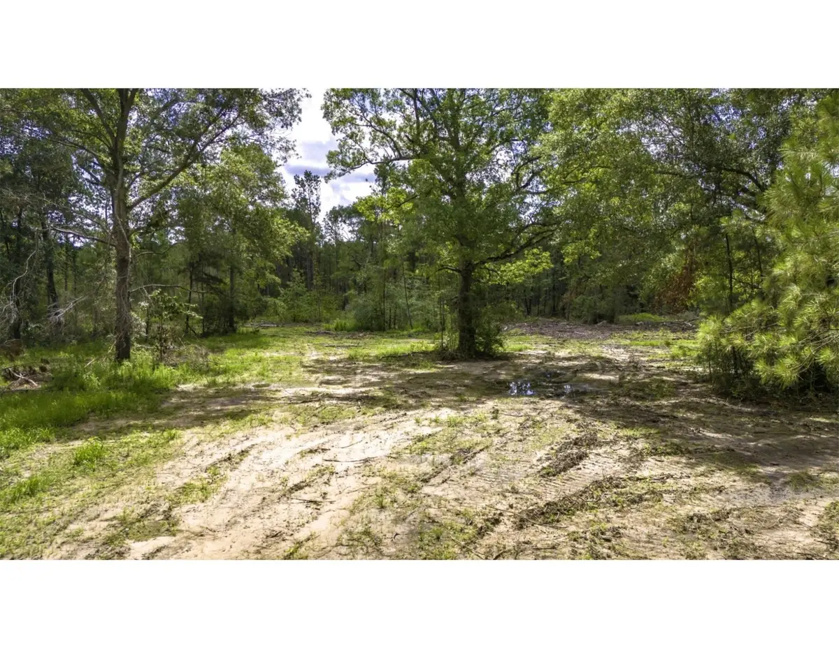 TBD Lot 003 Holland Road, Moscow, TX 75960 - #1