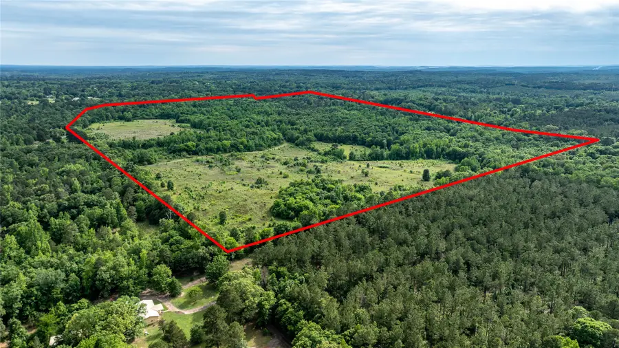 TBD County Road 1584, Avinger, TX 75630 - #3