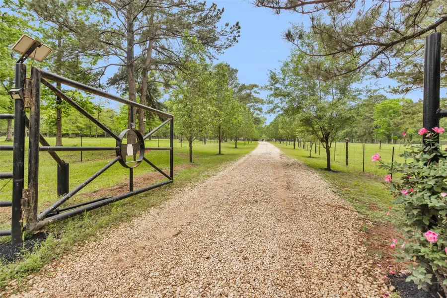 235 Caravella Court, Livingston, TX 77351 - #2