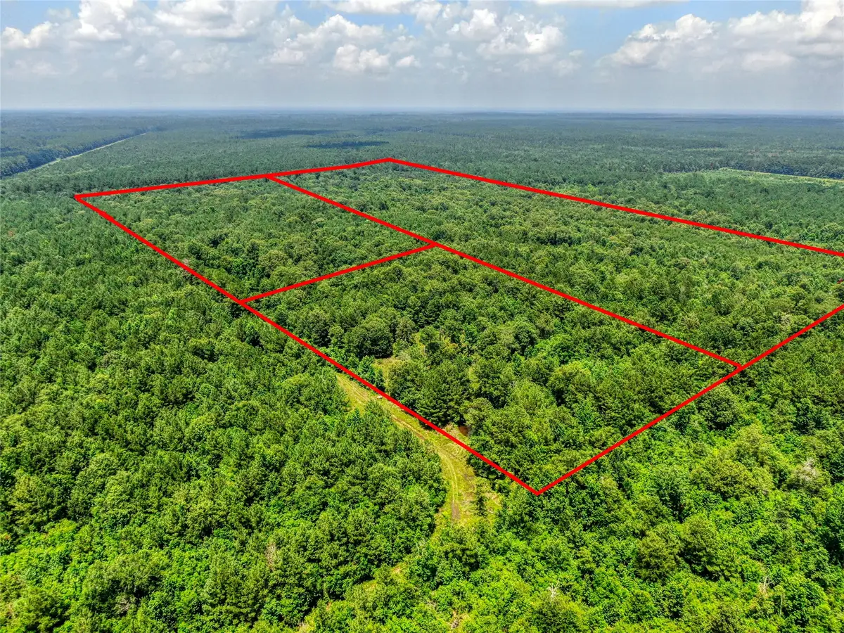 0 Pelican Road, Shepherd, TX 77371 - #1