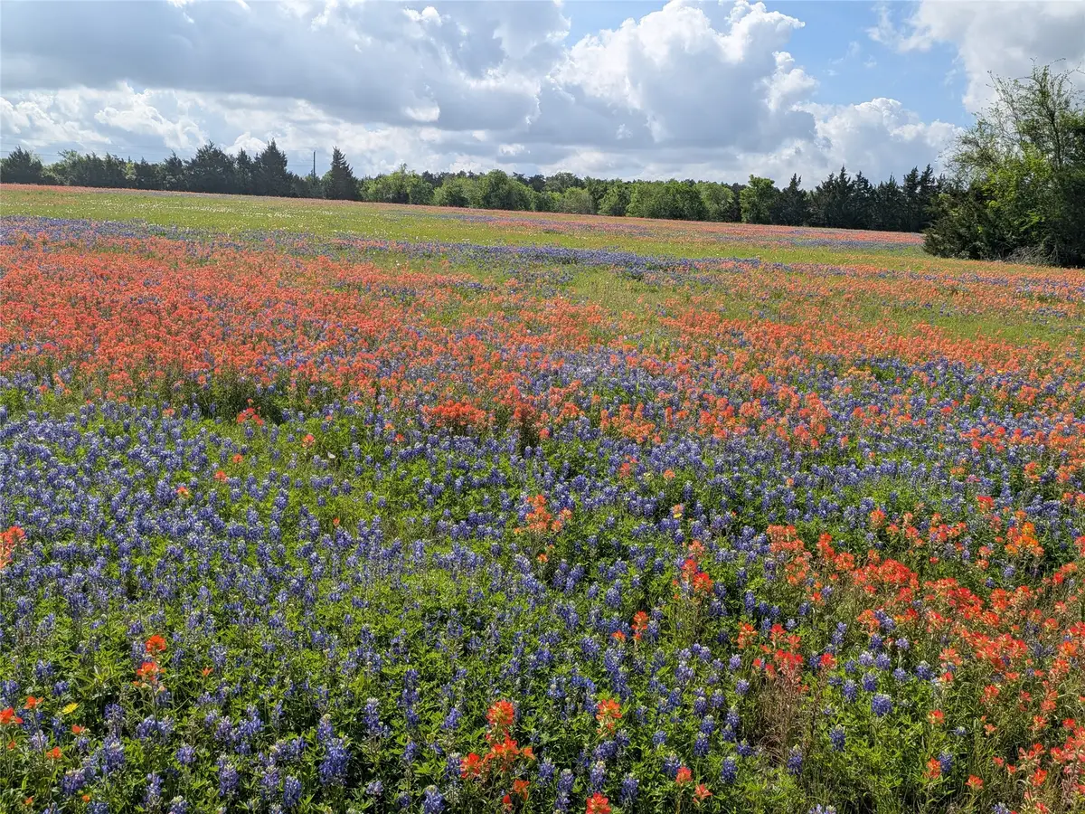 0031 Fm 2562 And Cr 218 Road, Anderson, TX 77830 - #1