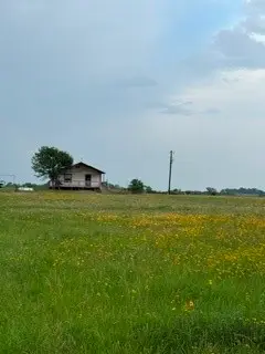 1240 Crooked Road, Cat Spring, TX 78933 - #3