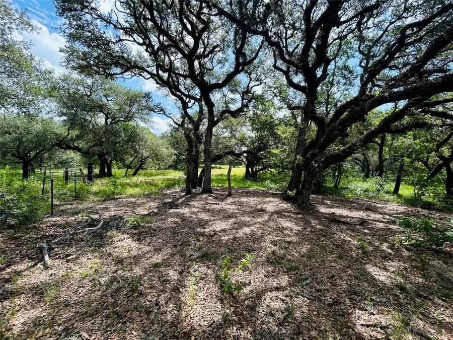 000 Sandy Creek, Sheridan, TX 77475 - #2