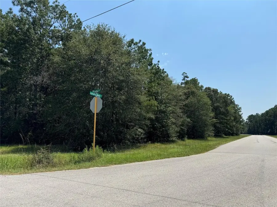 TBD Autumn Bend Dr, Conroe, TX 77303 - #3