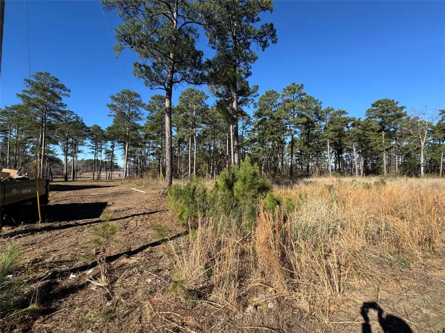 020 Private Road 6028, Brookeland, TX 75931 - Image #3