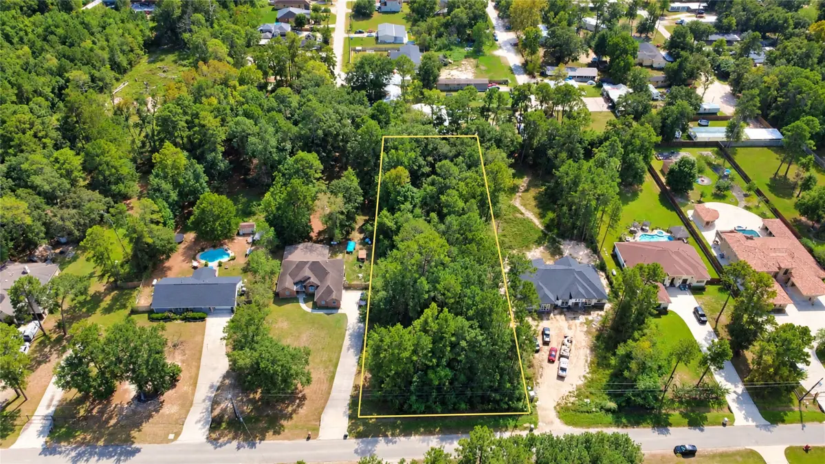19578 Desna Drive, Porter, TX 77365 - #1