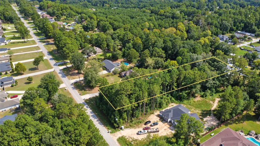 19578 Desna Drive, Porter, TX 77365 - #2