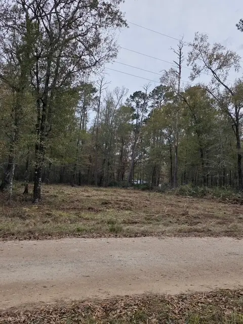 222 Wendy Way, Livingston, TX 77351 - #1