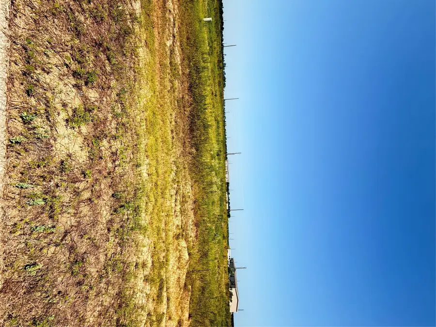 785 Road 591507, Cleveland, TX 77327 - #3