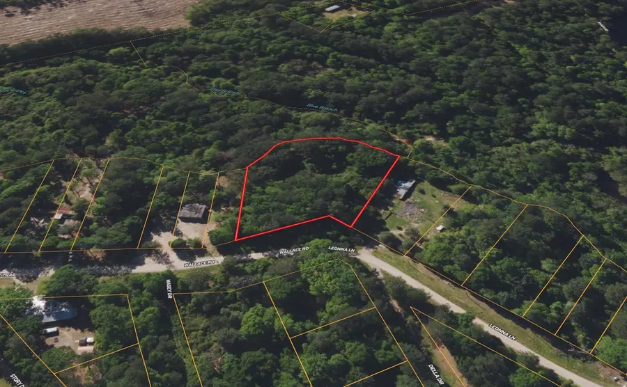 0 Big Foot Wallace Trail, Livingston, TX 77351 - #2