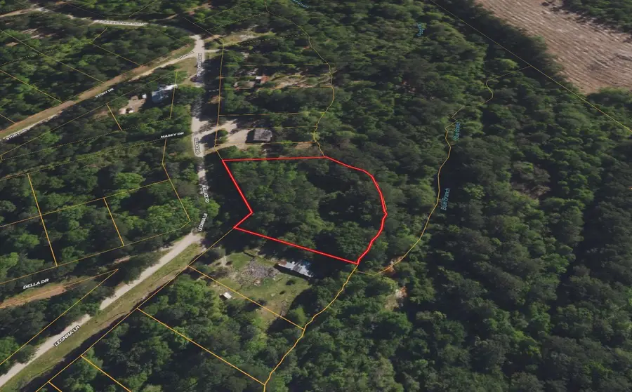 0 Big Foot Wallace Trail, Livingston, TX 77351 - #3