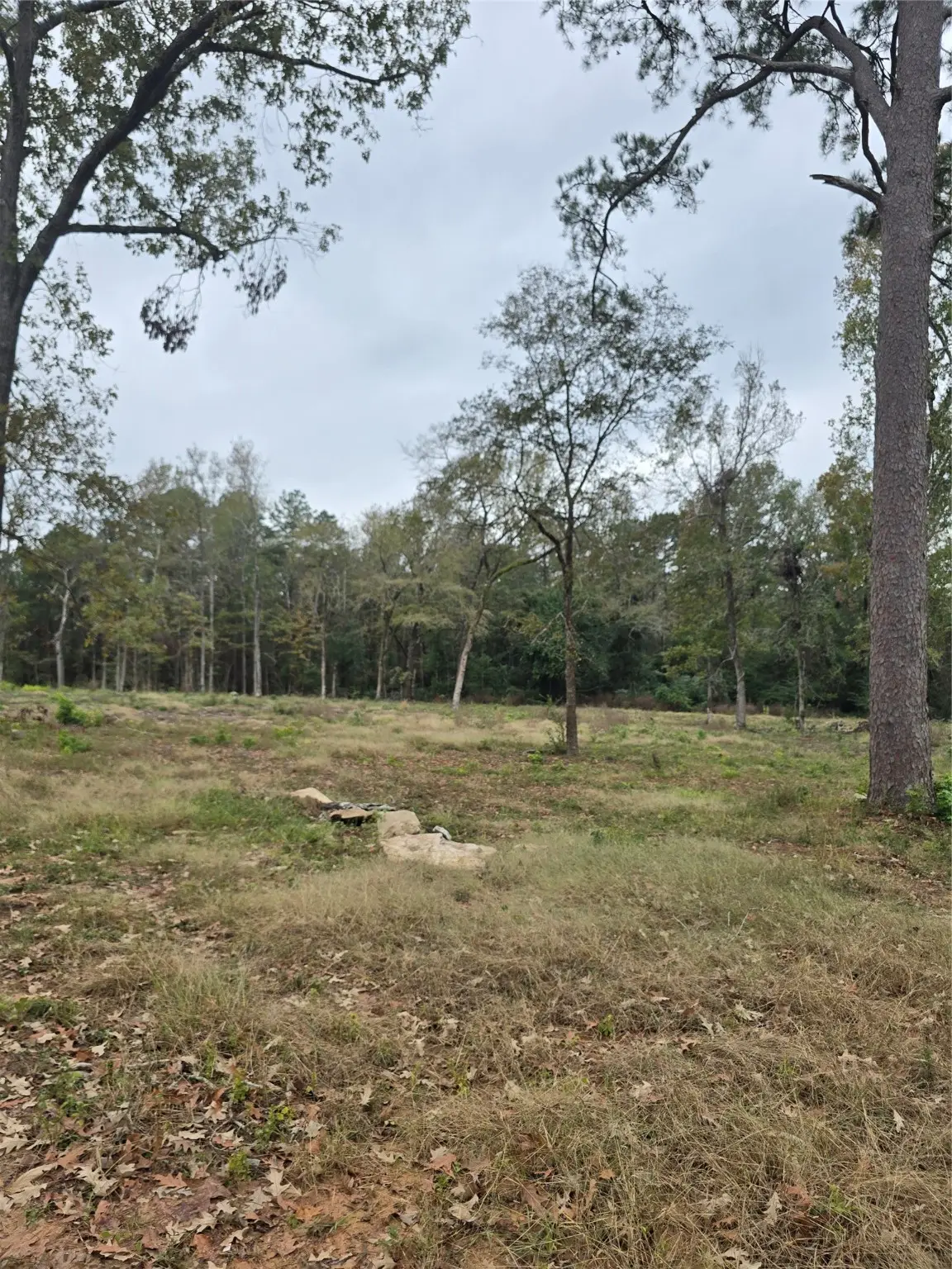 1006 S Houston Avenue, Livingston, TX 77351 - Image #1