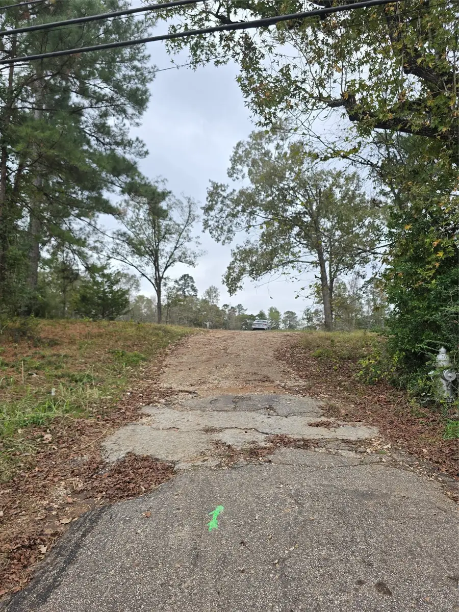 1006 S Houston Avenue, Livingston, TX 77351 - Image #2