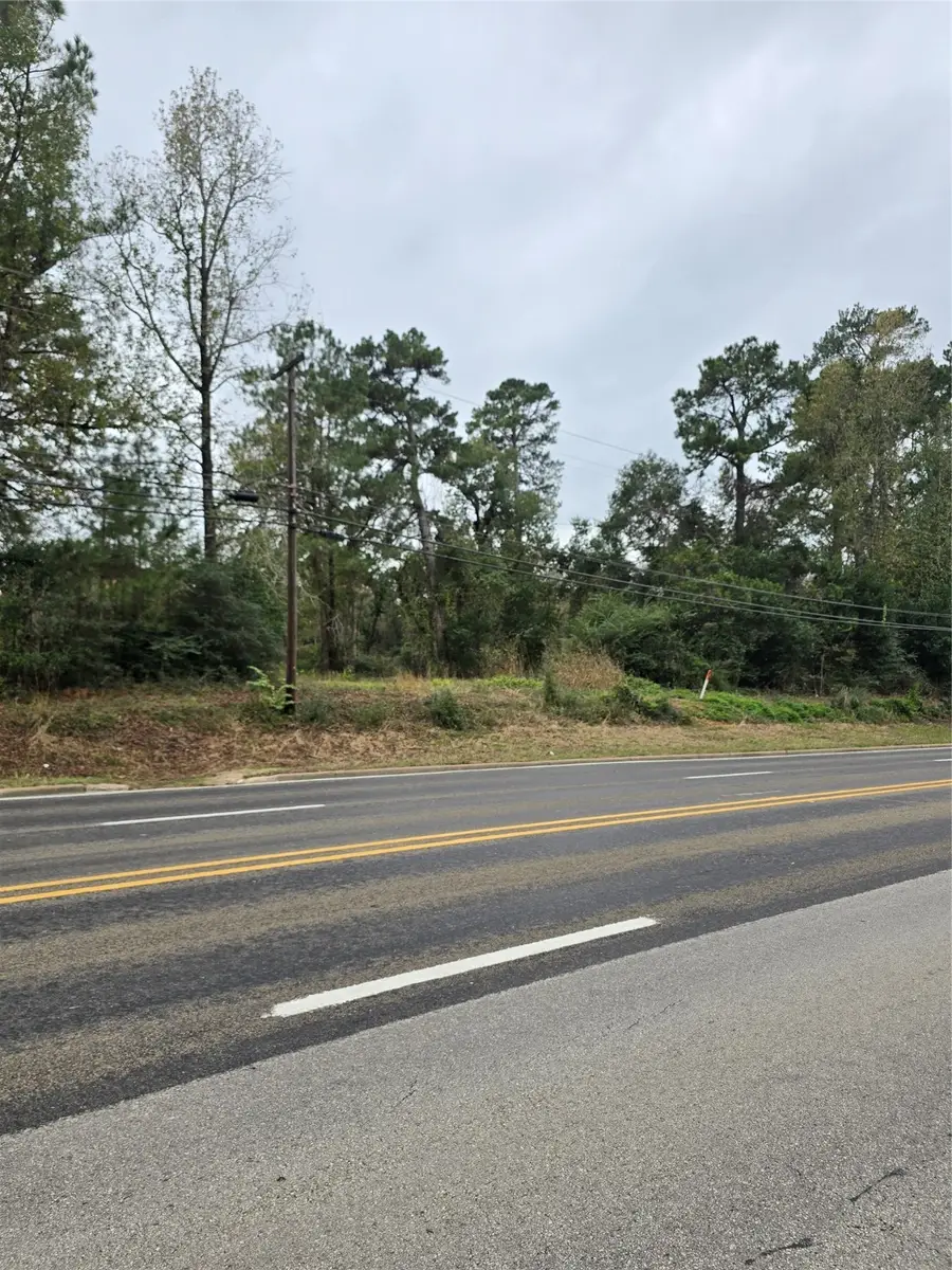 1006 S Houston Avenue, Livingston, TX 77351 - Image #3