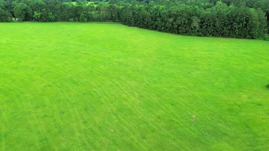 8AC Co Rd 317, Magnolia Springs, TX 75956 - #3