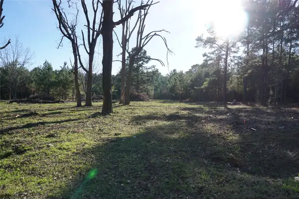 1087 County Road 318, San Augustine, TX 75972