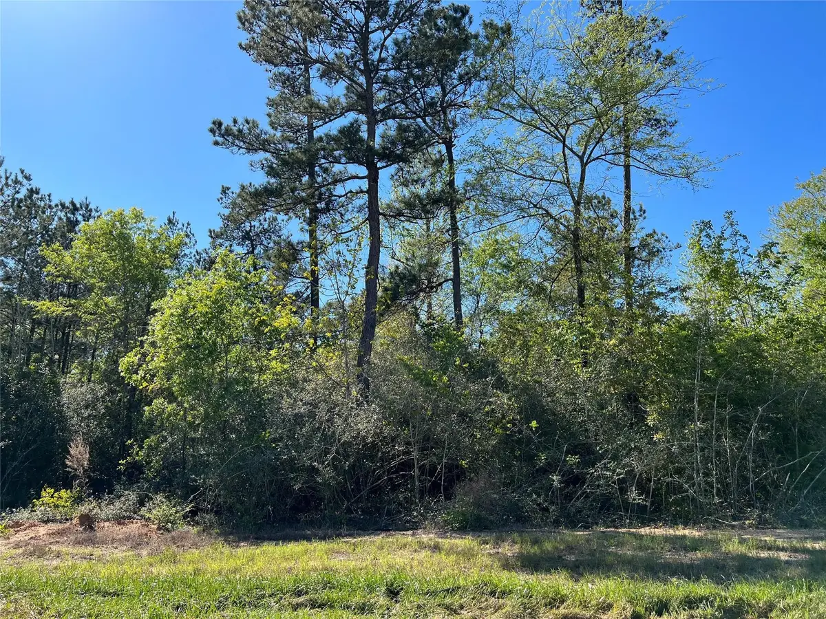 335 Exploration Road, New Waverly, TX 77358 - #1