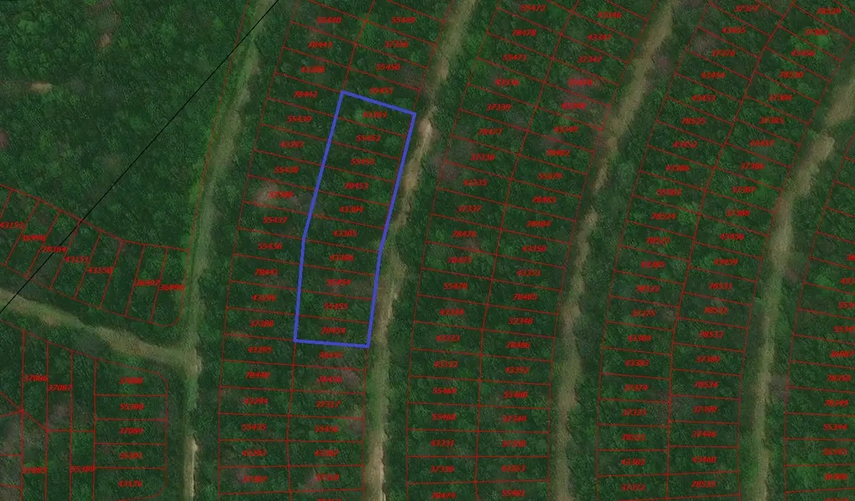 0 Wood Forest, Livingston, TX 77351 - #1