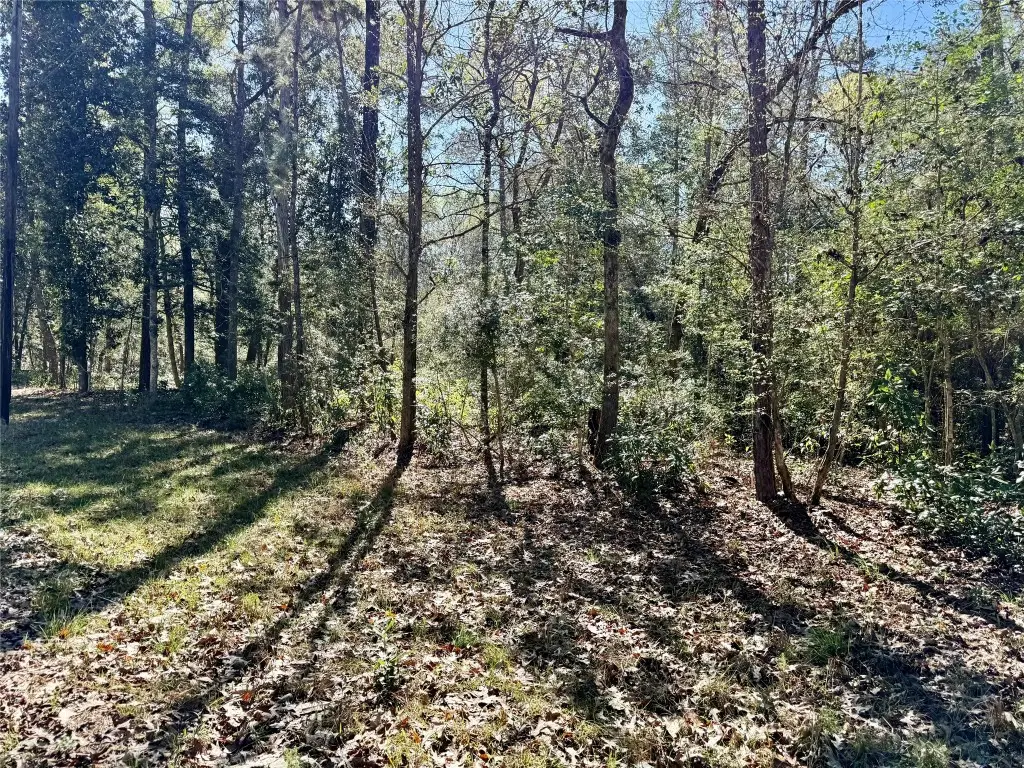 TBD Churton Road, Livingston, TX 77351 - #1