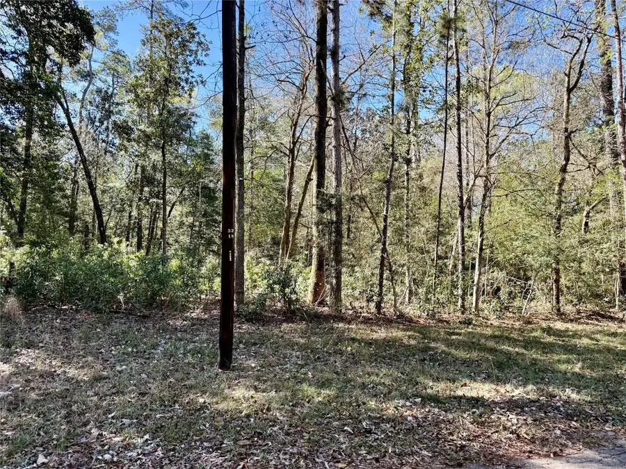 TBD Churton Road, Livingston, TX 77351 - #2