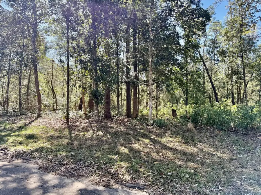 TBD Churton Road, Livingston, TX 77351 - #3