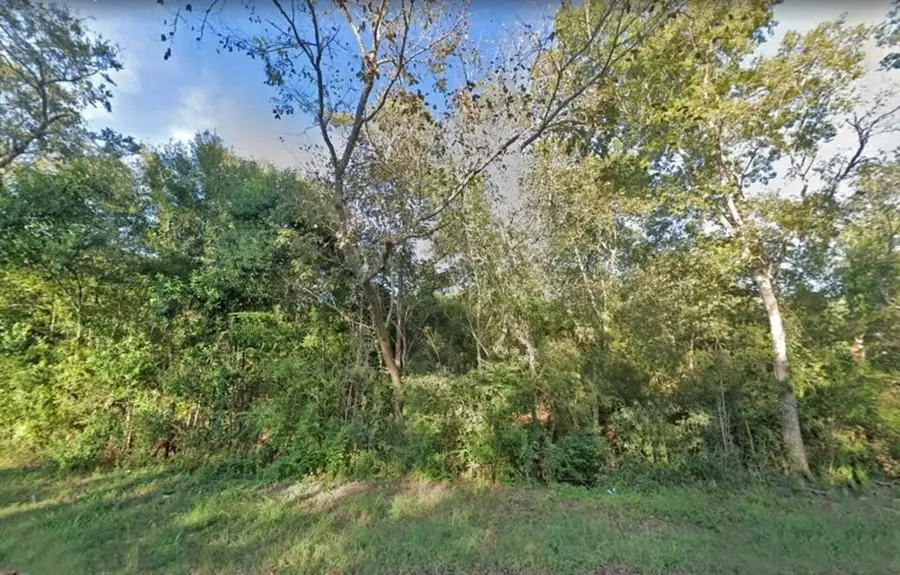 0 Bayou Drive, Alvin, TX 77511 - Image #3