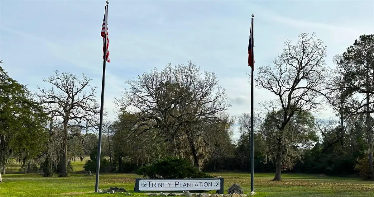 Lot 25 Colomb Street, Trinity, TX 75862 - #1