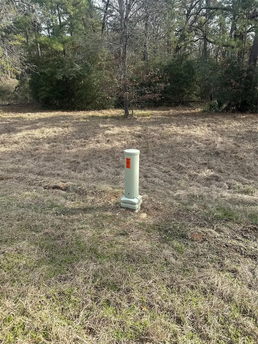 Lot 25 Colomb Street, Trinity, TX 75862 - #2
