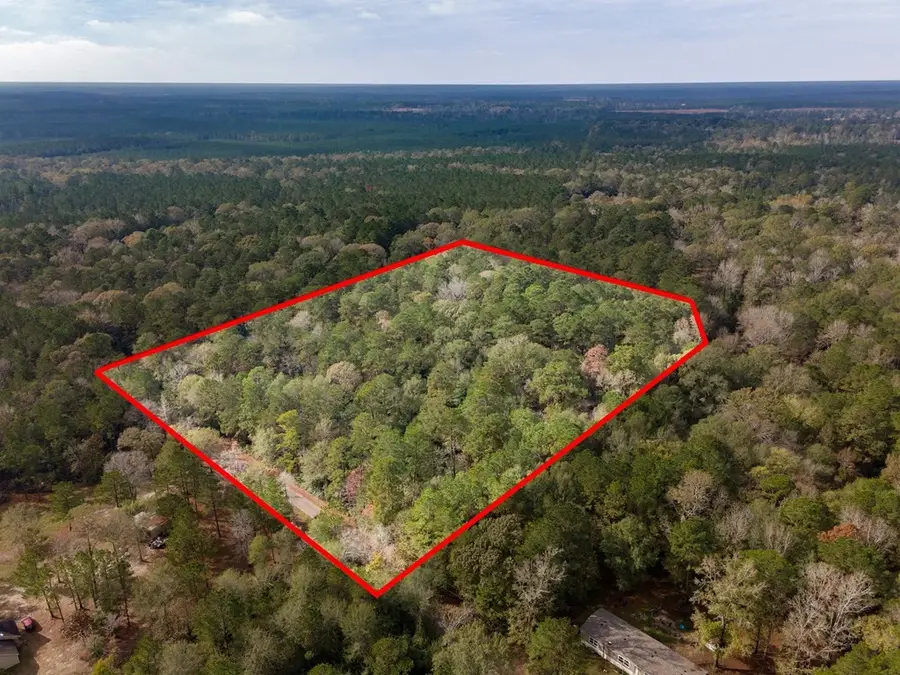 L18 John Keely Road, Zavalla, TX 75980 - Image #2