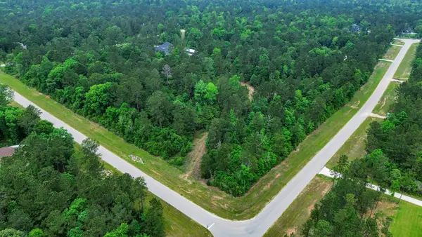 10517 Single Shot Lane, Willis, TX 77378