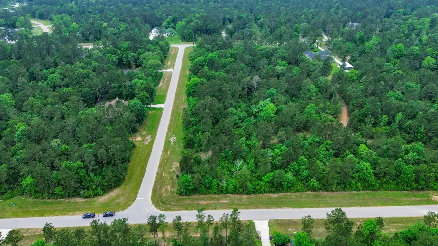 10517 Single Shot Lane, Willis, TX 77378 - #2