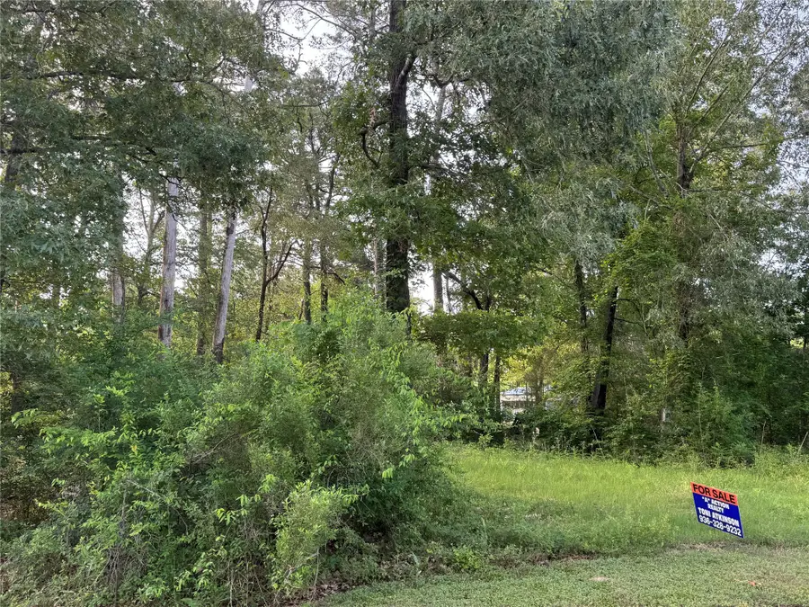 TBD Antilles Drive, Point Blank, TX 77364 - #3