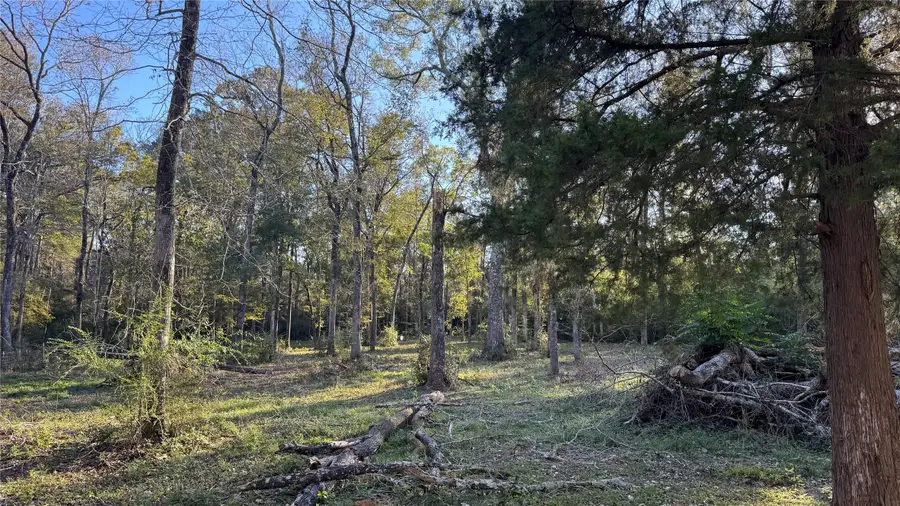 120 Eagle Creek Drive, Cleveland, TX 77328 - Image #3