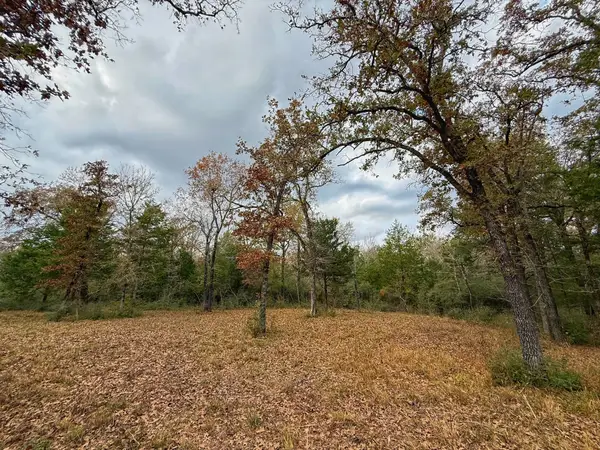 13 ac Highway 75 North, Buffalo, TX 75831