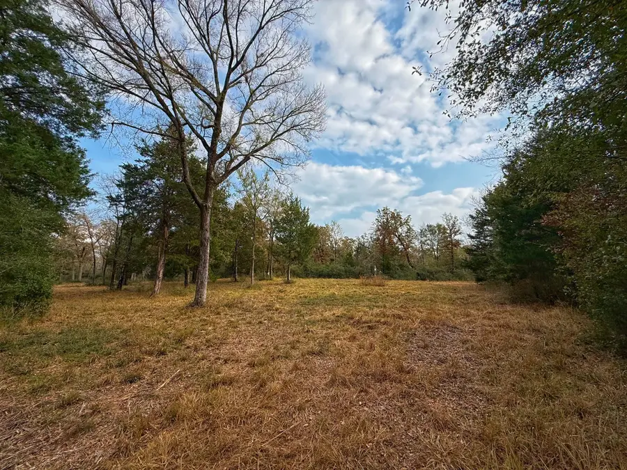 13 ac Highway 75 North, Buffalo, TX 75831 - Image #3