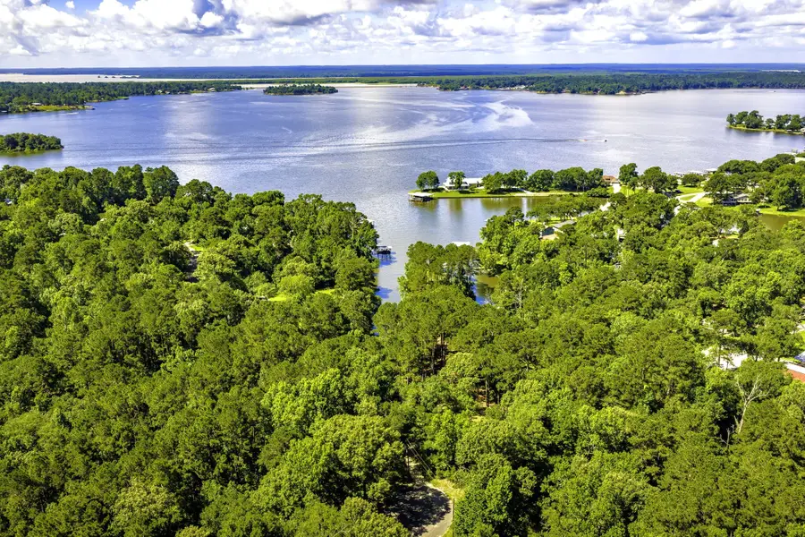 TBD Pine Circle, Trinity, TX 75862 - #3
