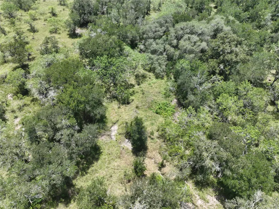 Lot 4 County Road 420, Waelder, TX 78959 - #2