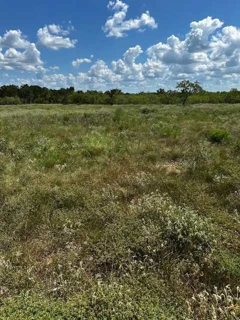 Lot 4 County Road 420, Waelder, TX 78959 - #3