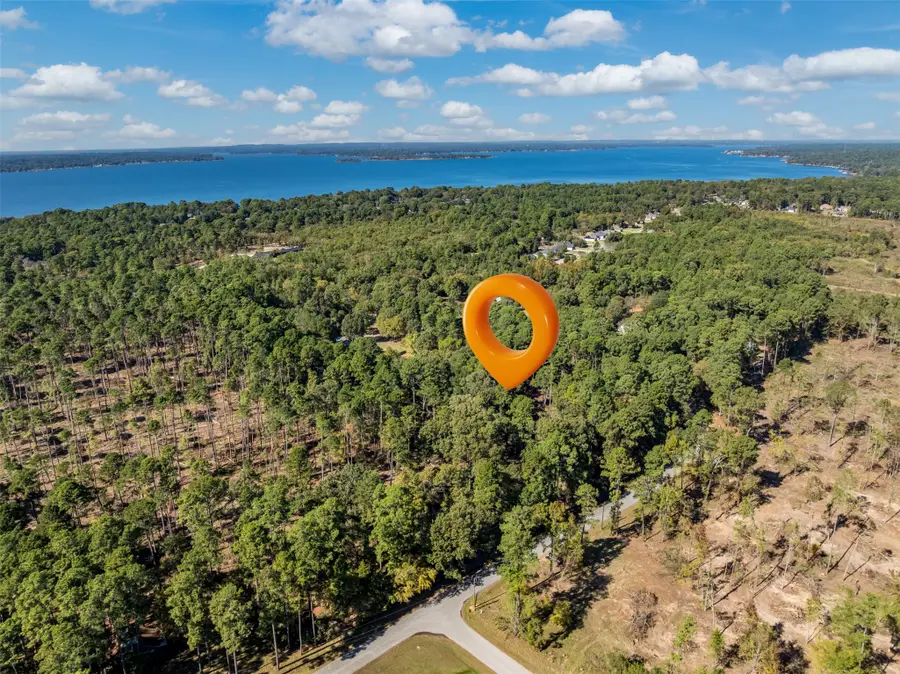 Lot 4 Pintail Drive, Flint, TX 75762 - #3