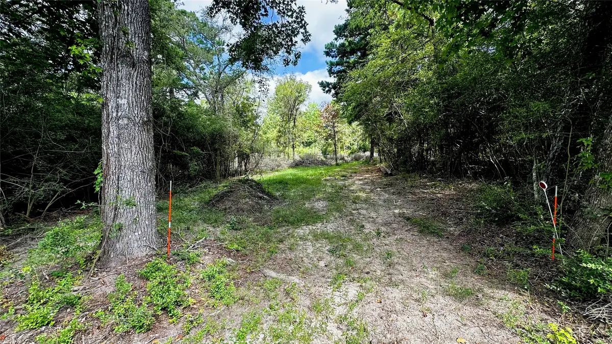 7103 Fm 3178, Centerville, TX 75833 - #1