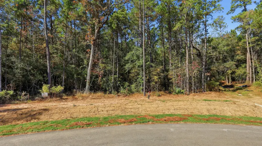 25219 Chisos Bend, Montgomery, TX 77316 - Image #3