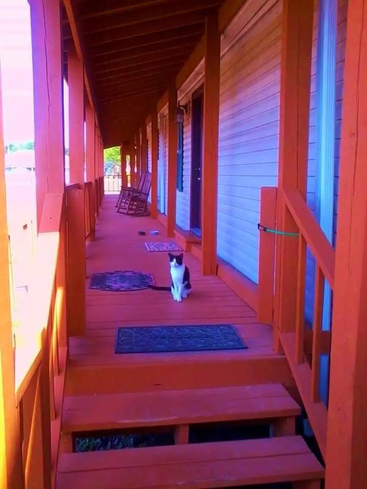 842 Burkhart Road, Victoria, TX 77905 - #2