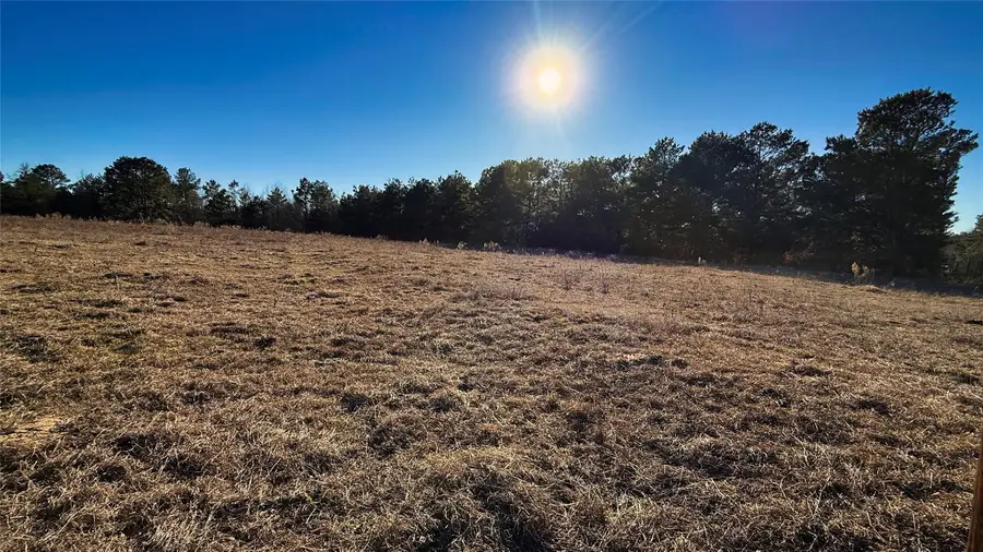 TBD #11 County Road 477, Henderson, TX 75654 - #3