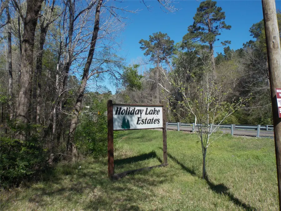 426 Driftwood Drive, Goodrich, TX 77335 - #3