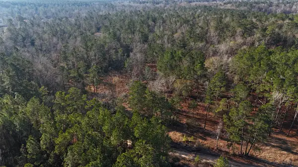 TBD Baskin Loop, Livingston, TX 77351