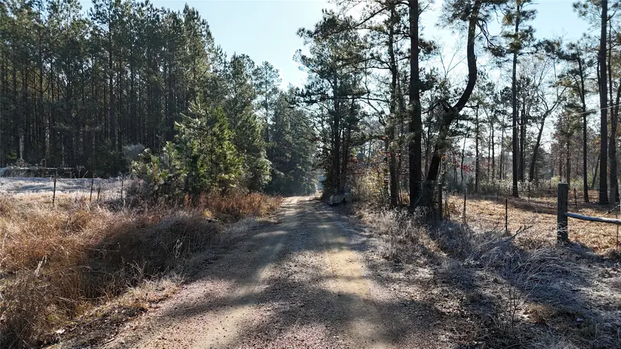 TBD Baskin Loop, Livingston, TX 77351 - Image #2