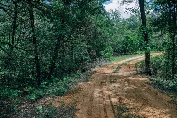 9713 County Road 316, Caldwell, TX 77836
