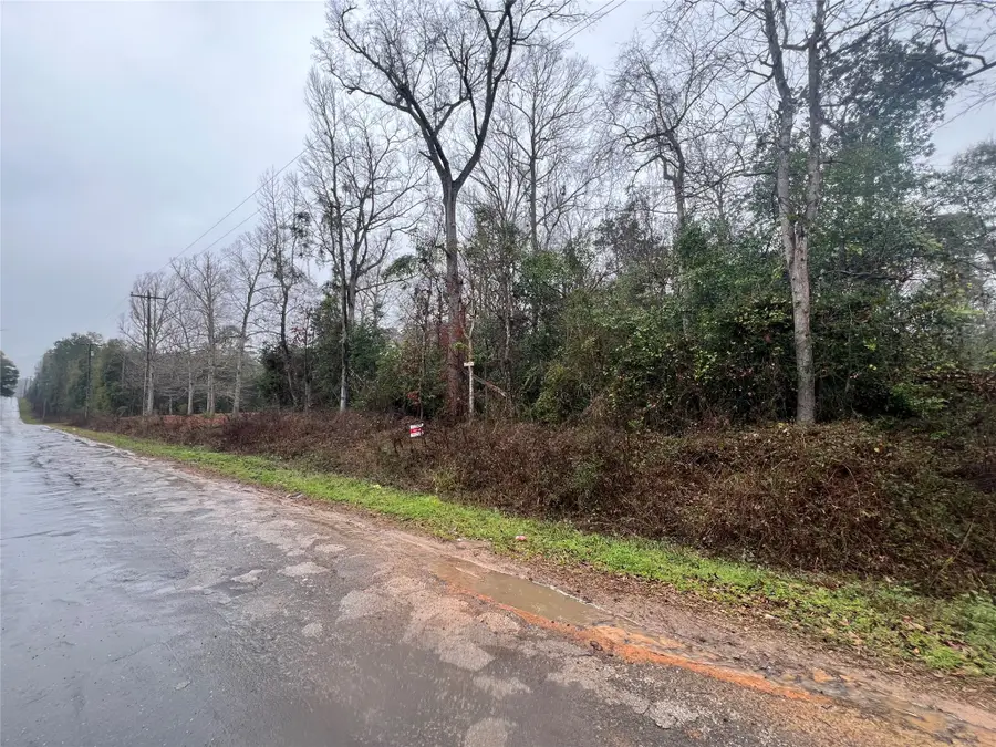 0 Swick Trail, Livingston, TX 77351 - #2