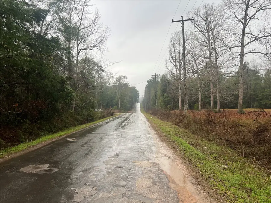 0 Swick Trail, Livingston, TX 77351 - #3