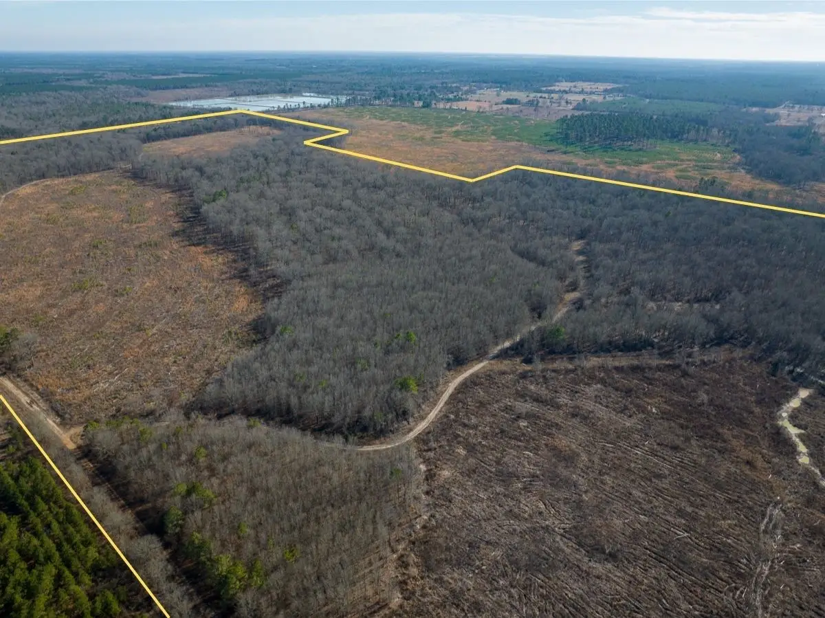 000 Highway 37, Bagwell, TX 75412 - #1